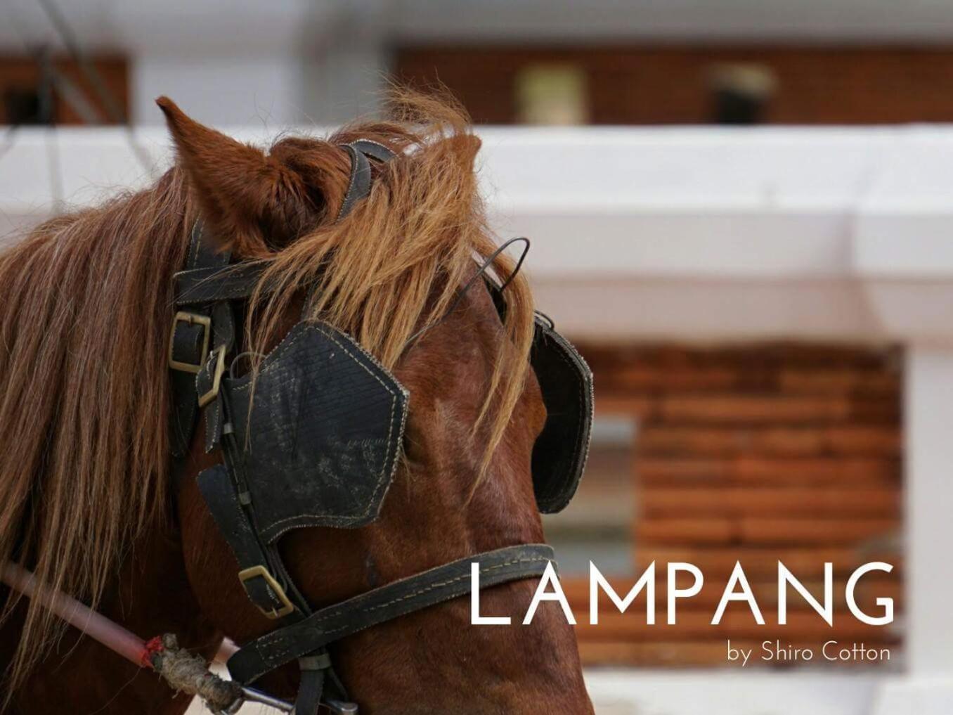 Kanecha'S Home Lampang Exterior photo